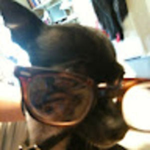 Meet your Posher, Benjamin